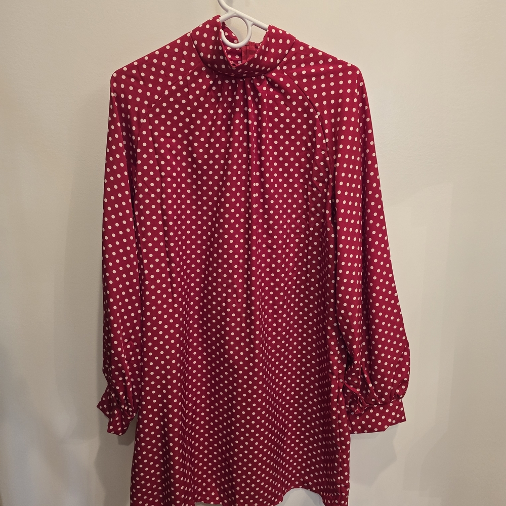 Red Polka Dot Blouse